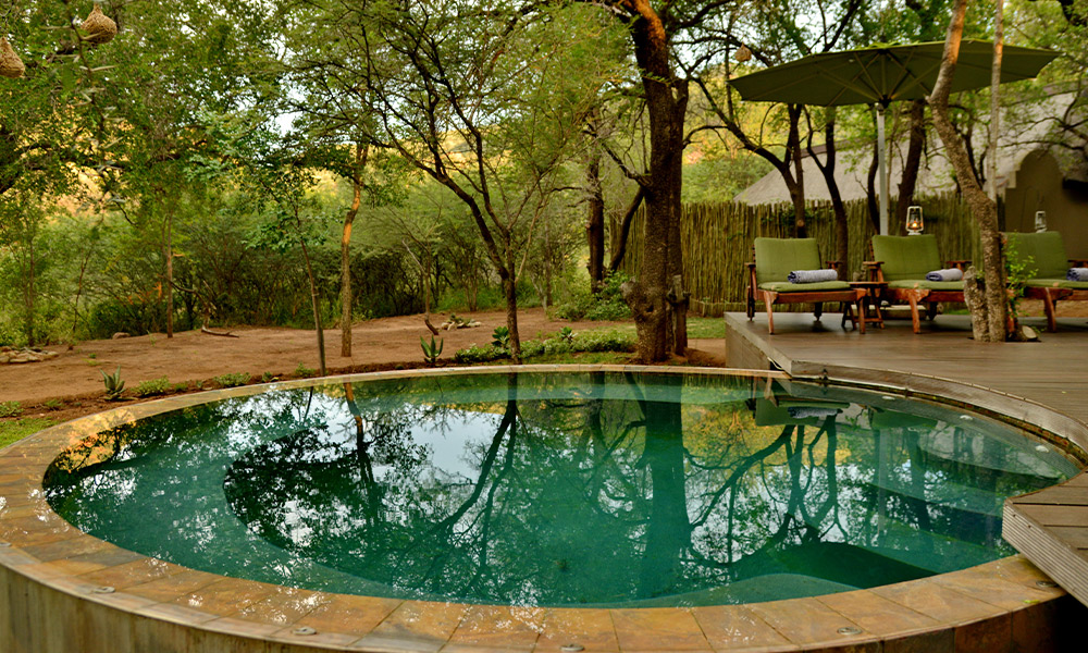 Tambuti-Lodge-March-2022-43