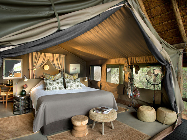 large_Tanda_Tula-Main