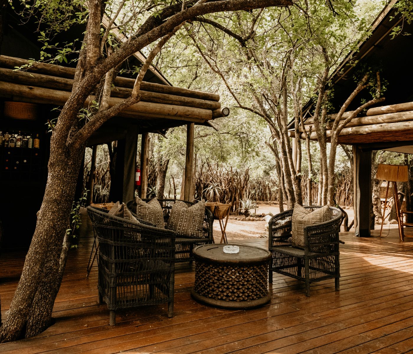 rhinosands_gallery_feature-2