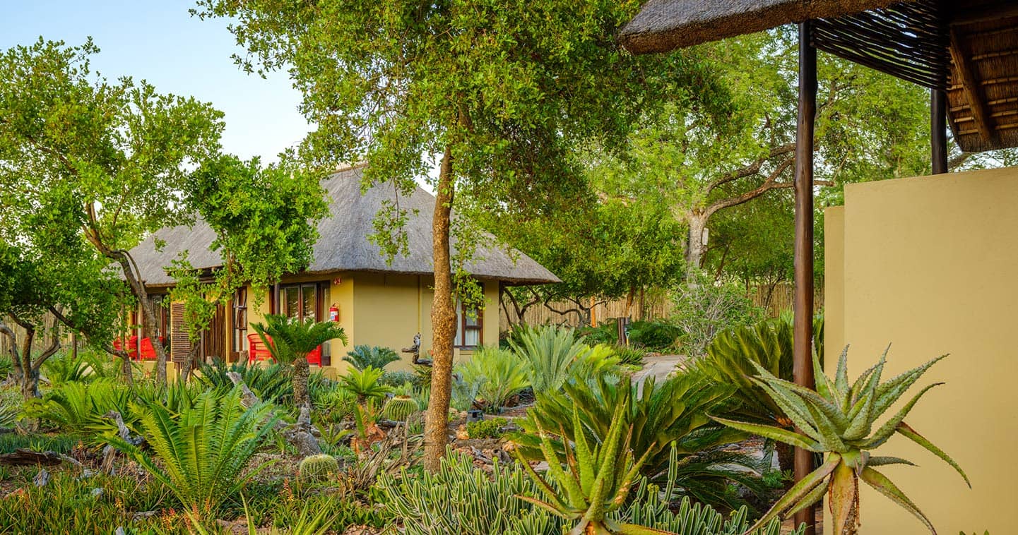 sabi-sands-jacis-sabi-house