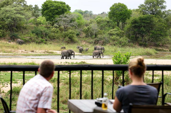 umkumbe-safari-lodge-viewing-deck-elephant-herd umkumbe-safari-lodge-viewing-deck-elephant-herd